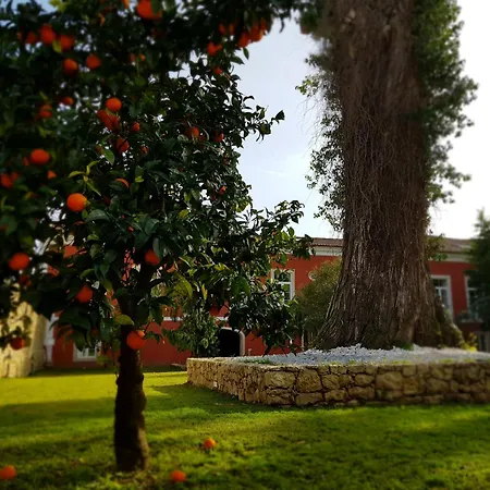 Palacio Sao Silvestre-boutique Hotel