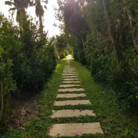 Palacio Sao Silvestre-boutique 4* 코임브라