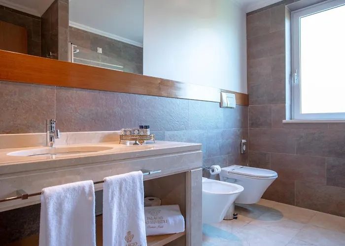 Отель Palacio Sao Silvestre-boutique 4*
