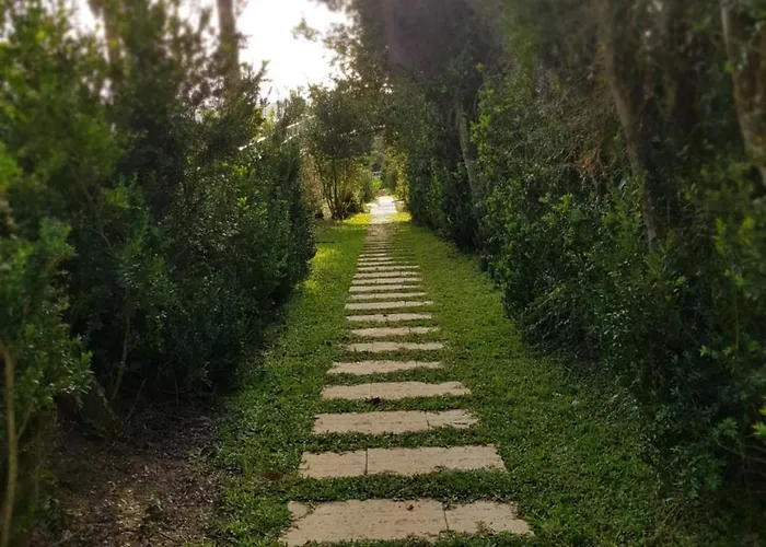 Palacio Sao Silvestre-boutique 4* Coímbra